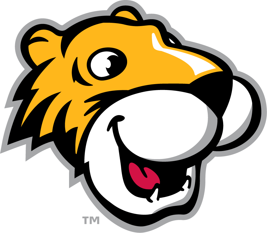 Towson Tigers 2002-Pres Mascot Logo v2 iron on transfers for T-shirts